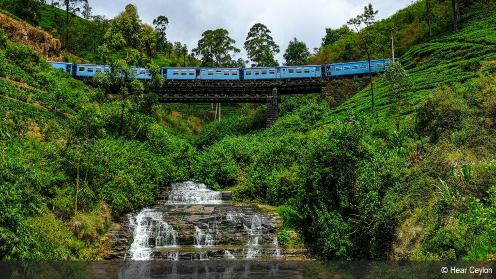On the train across misty hills