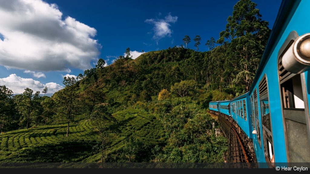 On the train across the beautiful tea plantations